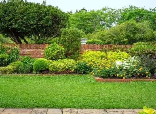 landscaping services Silver Grove